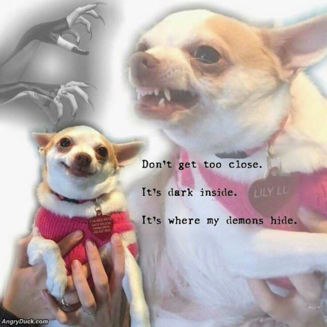 Dont Get Too Close