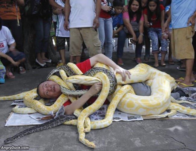 Dude Loves Snakes