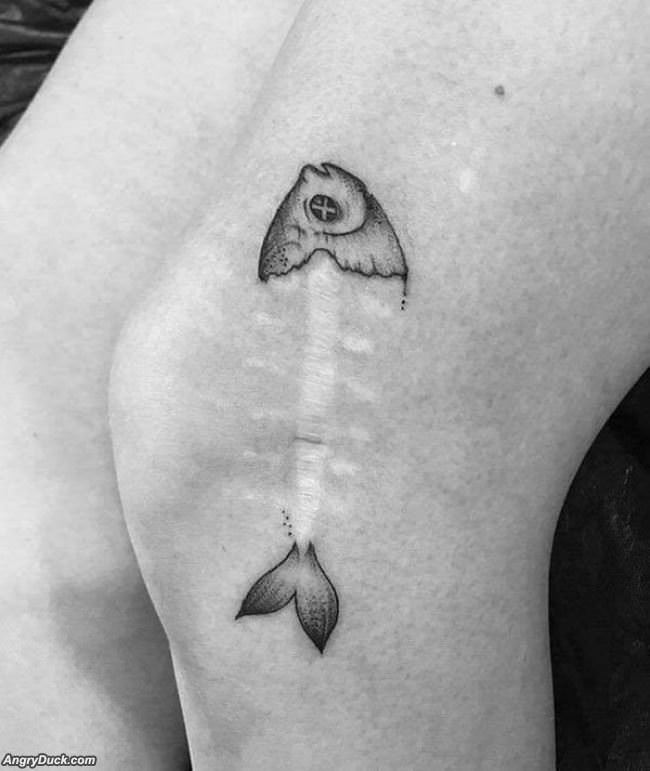 Fixed The Scar