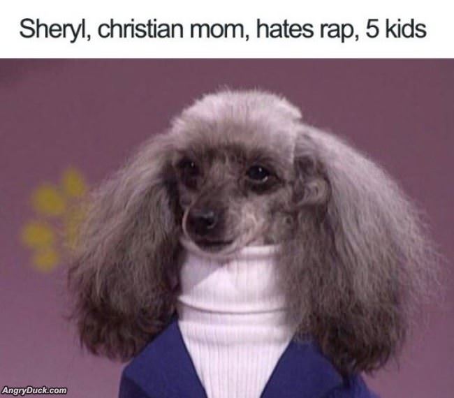 Hates Rap Music