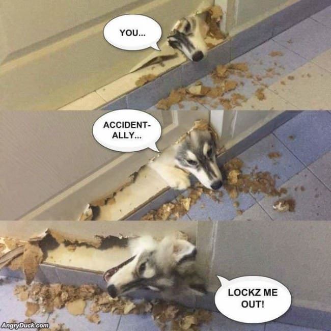 Hey You Locked Me Out