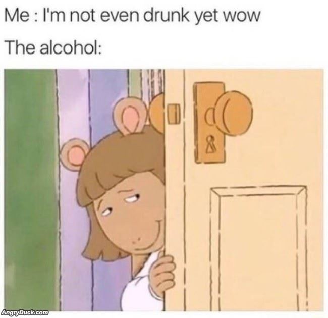 How Alcohol Works