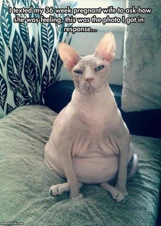How Are You Feeling