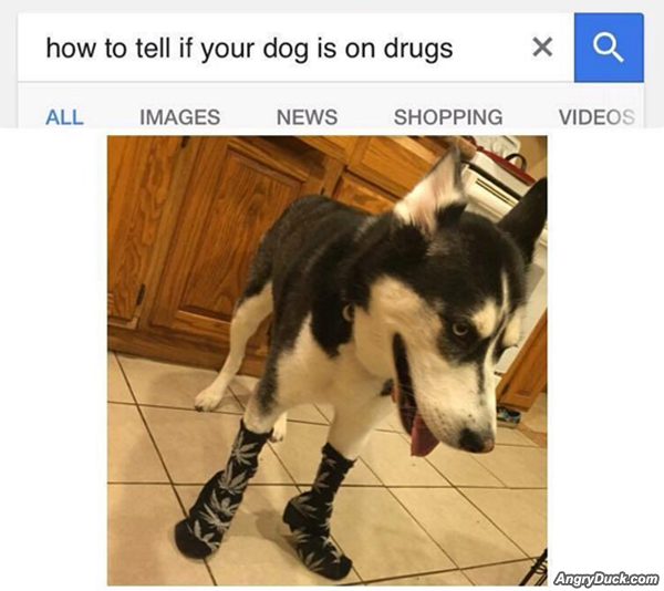 How To Tell