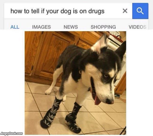 How To Tell