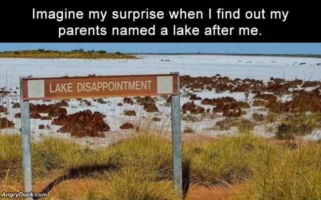 Imagine My Surprise