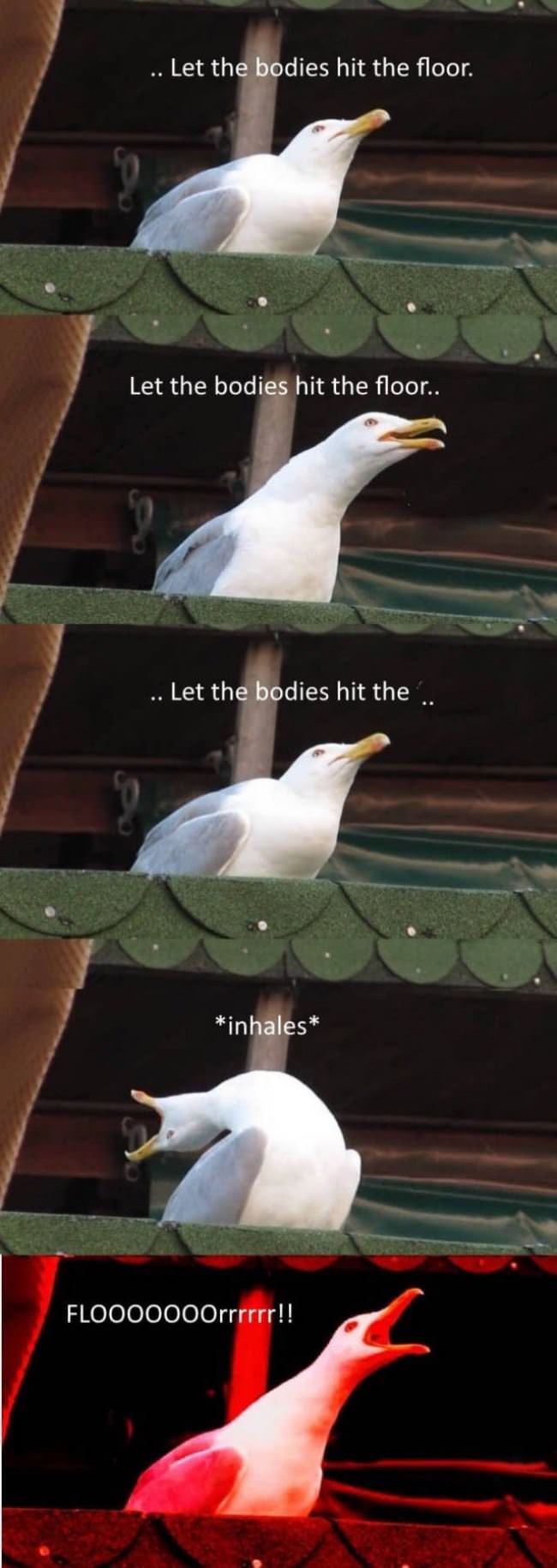 Let The Bodies Hit The Floor