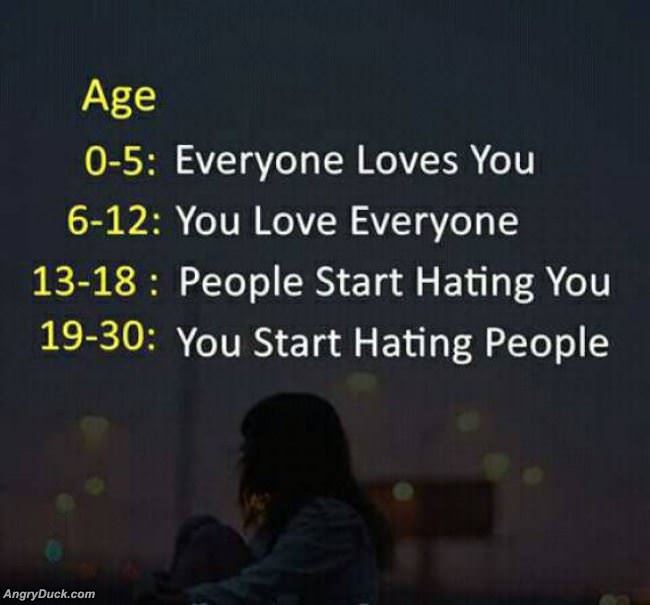 Life Summed Up