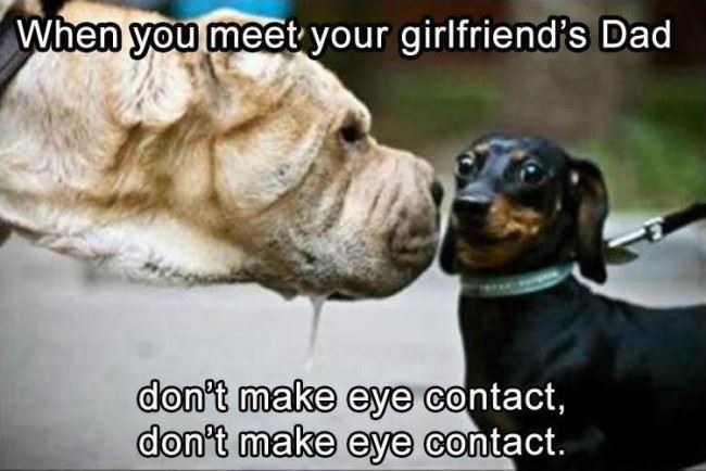 Meeting The Girlfriends Dad