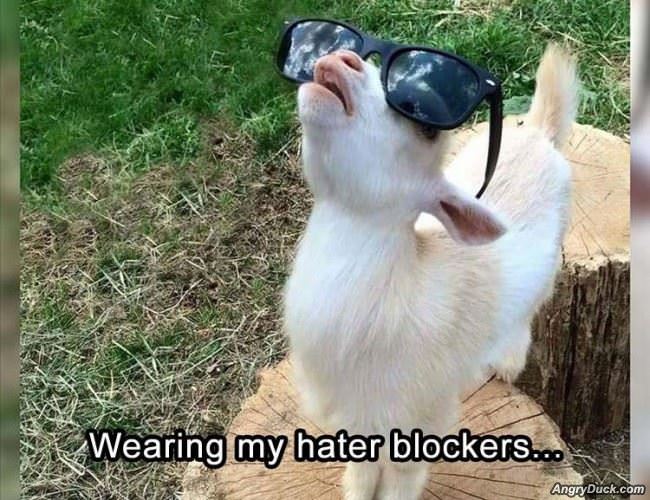 My Hater Blockers