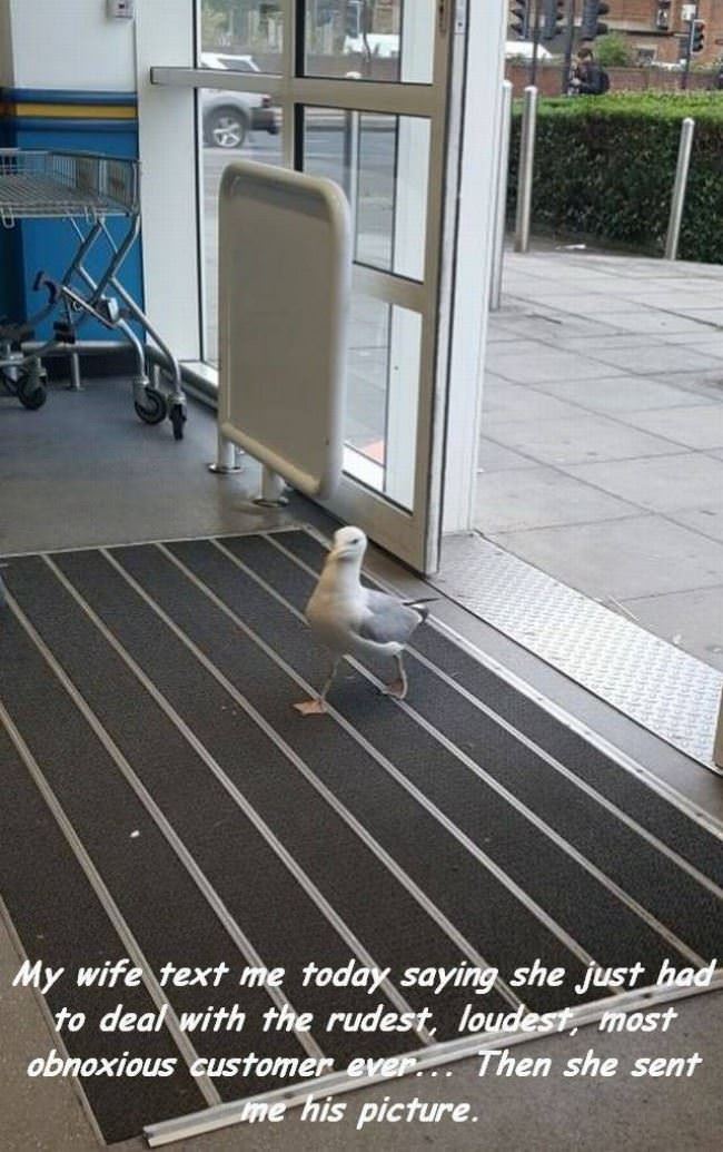 One Rude Customer