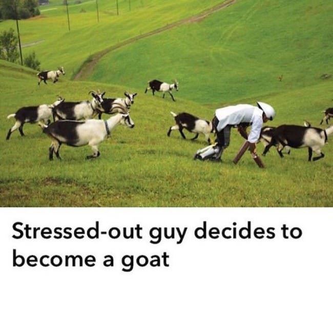 Stressed Out Guy