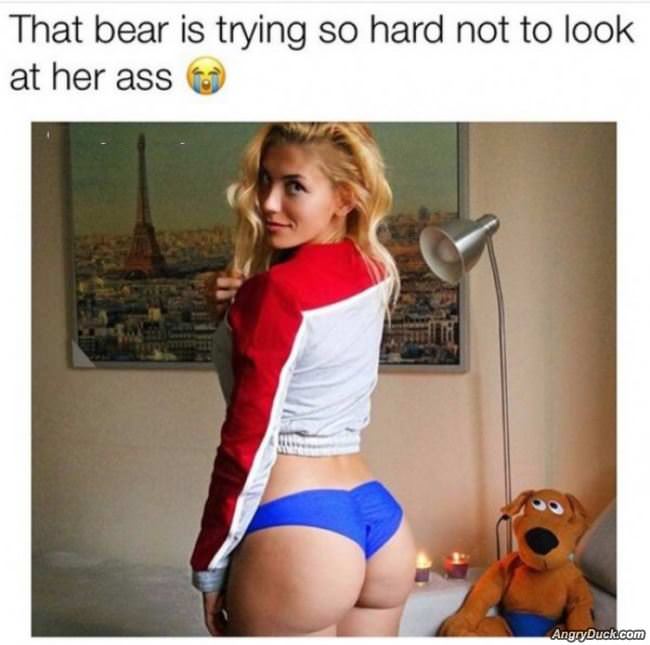 That Bear Is Trying So Hard