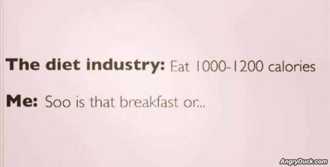 The Diet Industry