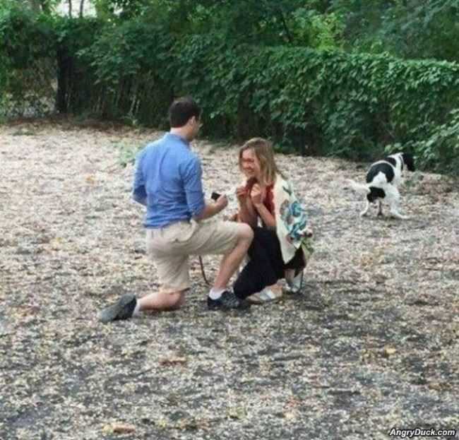 The Dog Got Excited