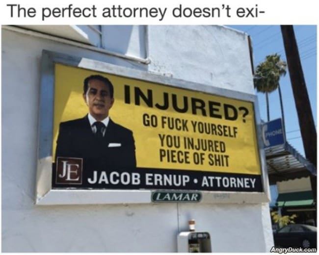 The Perfect Attorney
