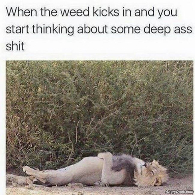 The Weed Kicks In
