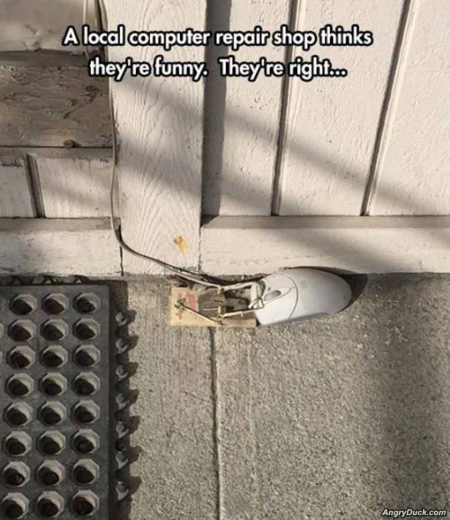 They Think They Are Funny