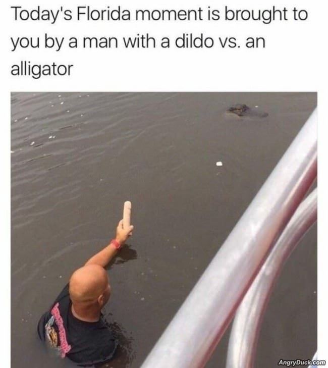Today Is Florida