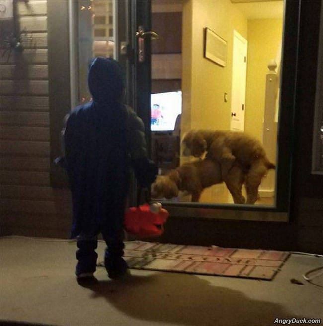 Trick Or Treat