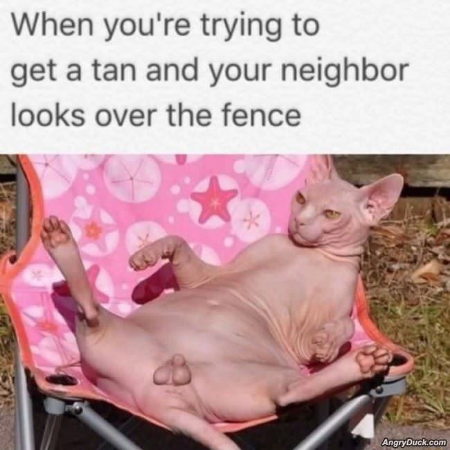 Trying To Get A Tan