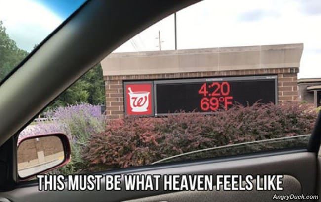 What Heaven Feels Like