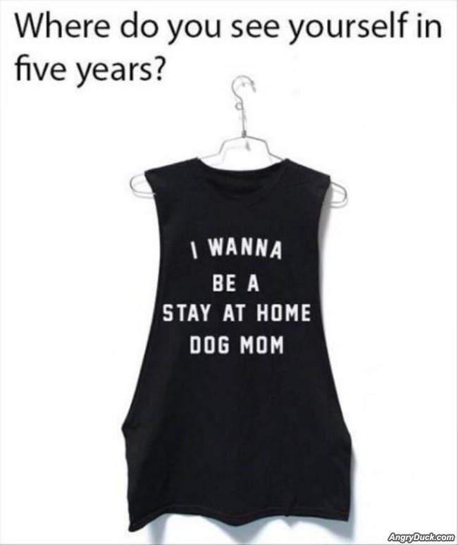 What I Really Want