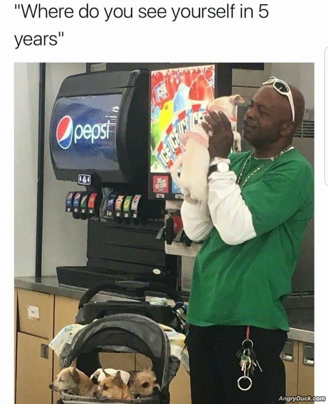 Where Do You See Yourself In 5 Years
