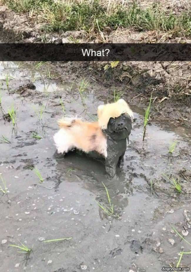 You Got A Problem With This