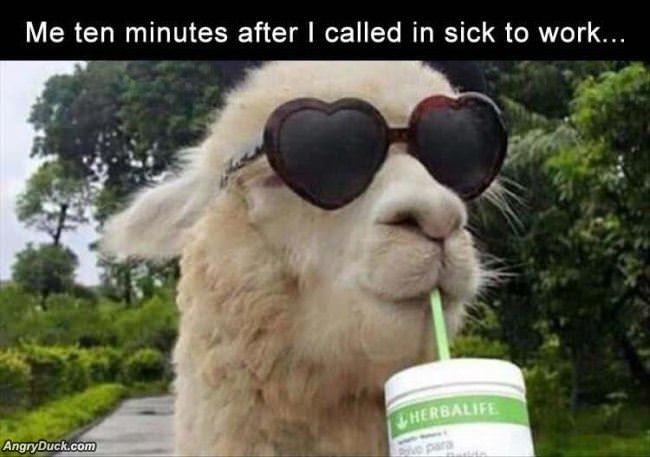 10 Minutes Later