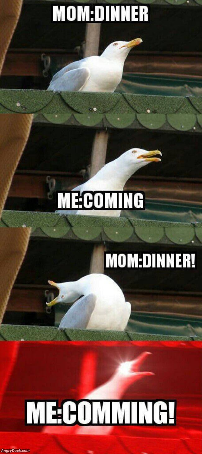 Coming To Dinner