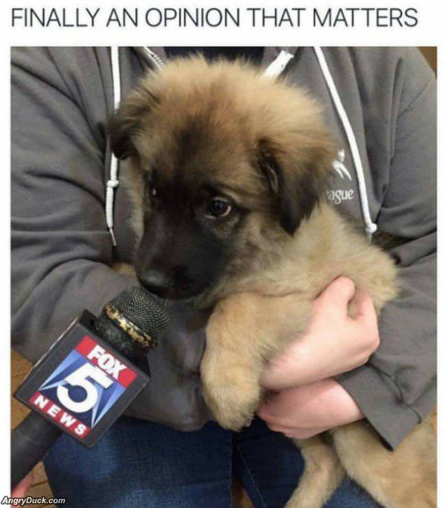 Finally One That Matters