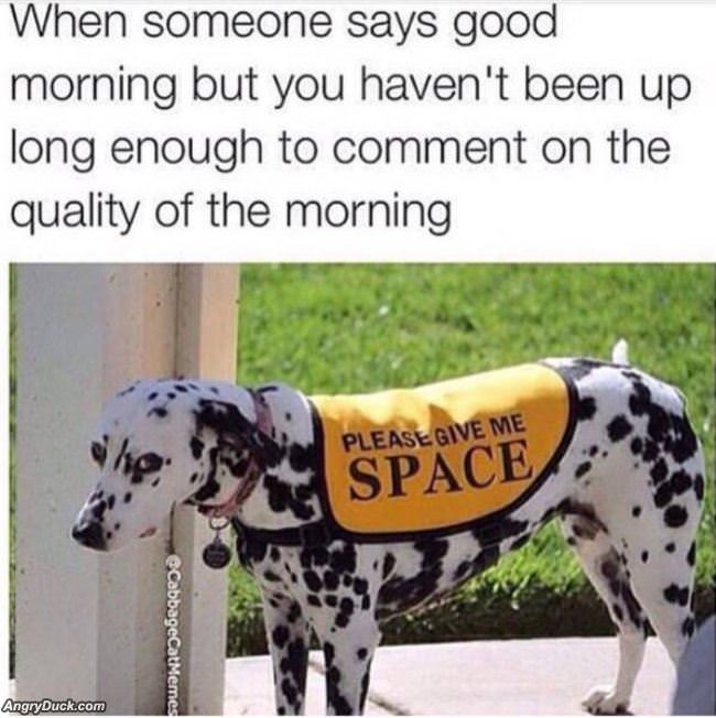 Good Morning