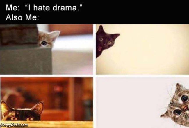 I Hate Drama But Also
