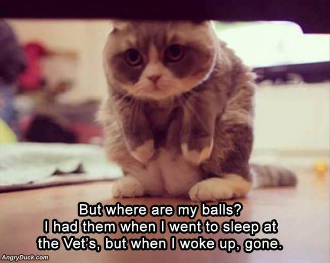 I Went To Sleep Then They Were Gone