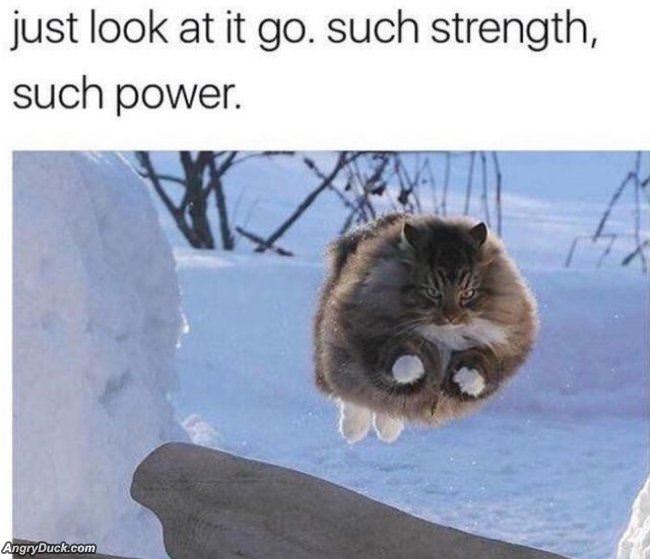 Just Look At It Go