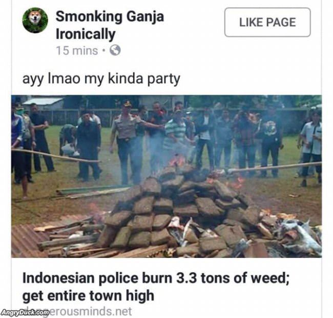 My Kind Of Party