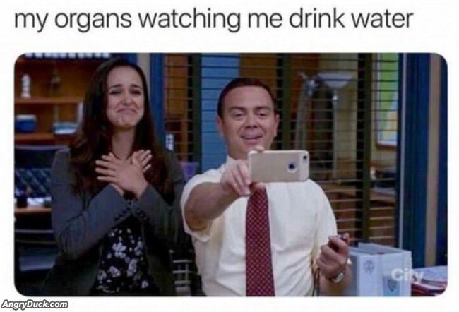 My Organs Watching Me