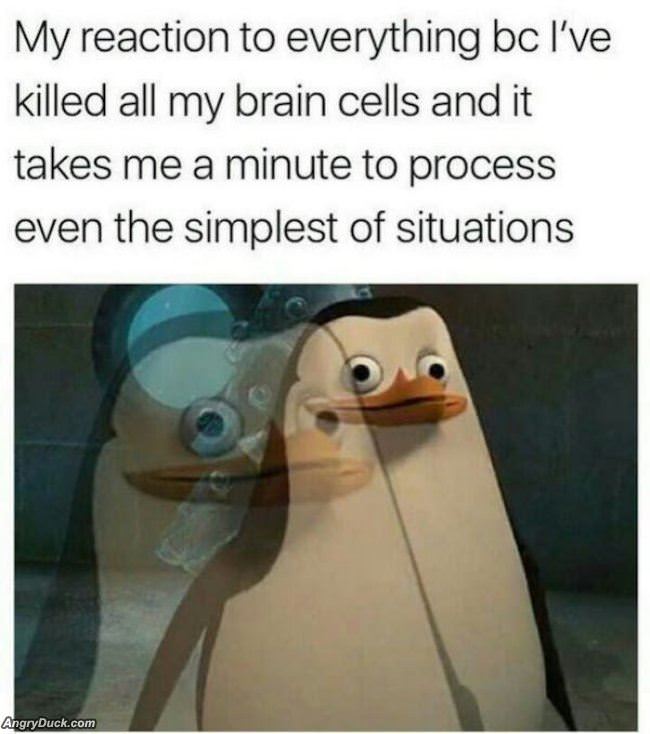 My Reaction To Everything Now