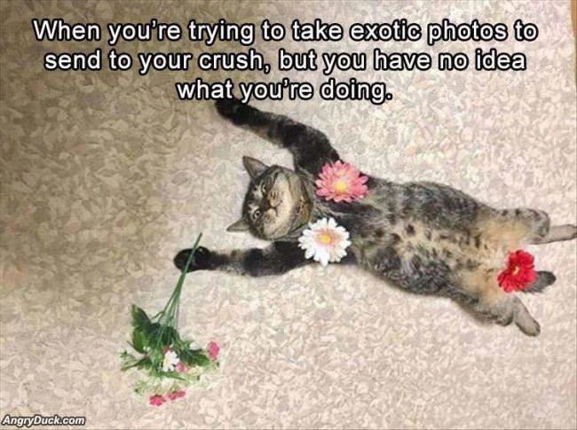 Sending Photos To Your Crush
