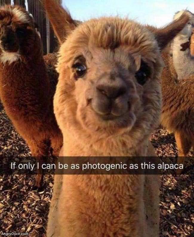 So Photogenic