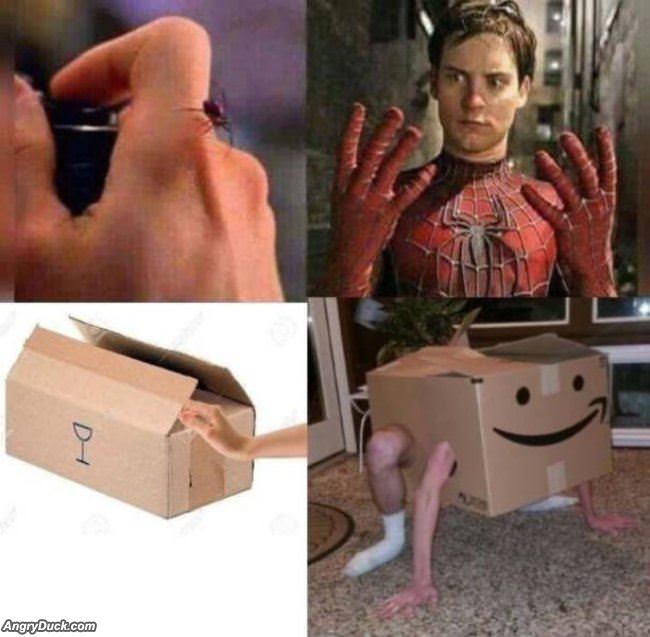 Spiderman Vs Boxman