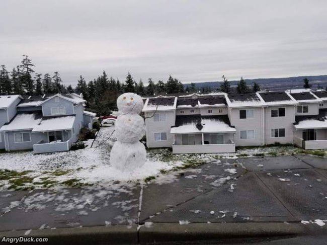 That Is A Nice Snowman