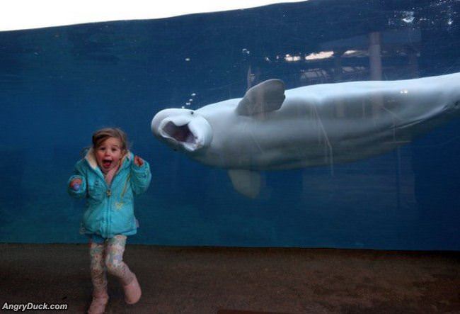 That Look Is Priceless