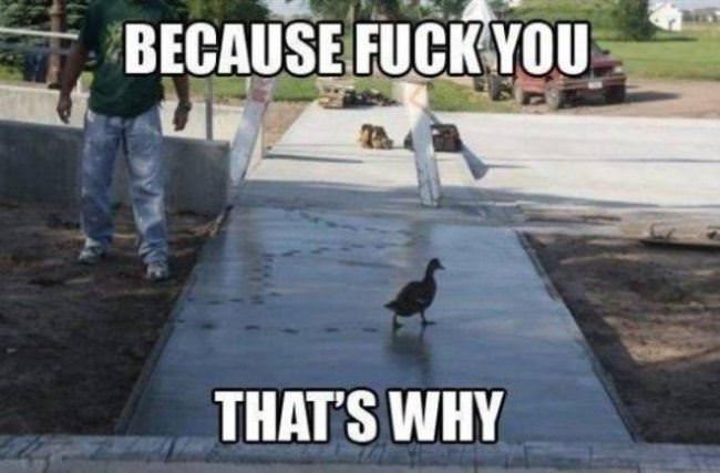 Thats Why