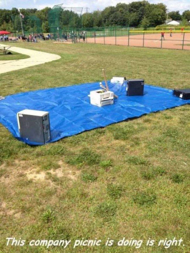 This Company Picnic Is Doing It Right