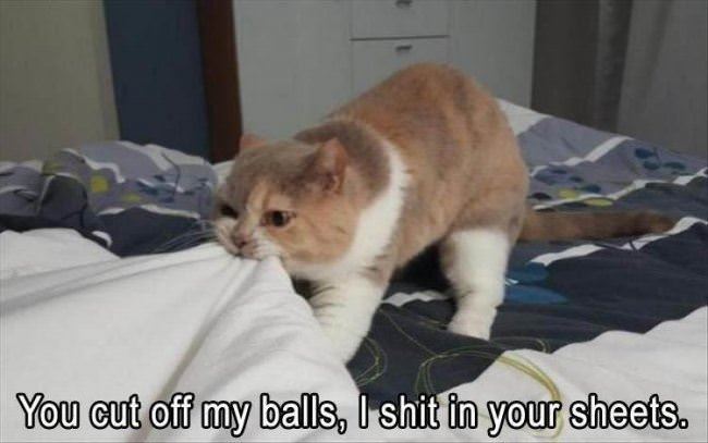 What Did You Do With Them