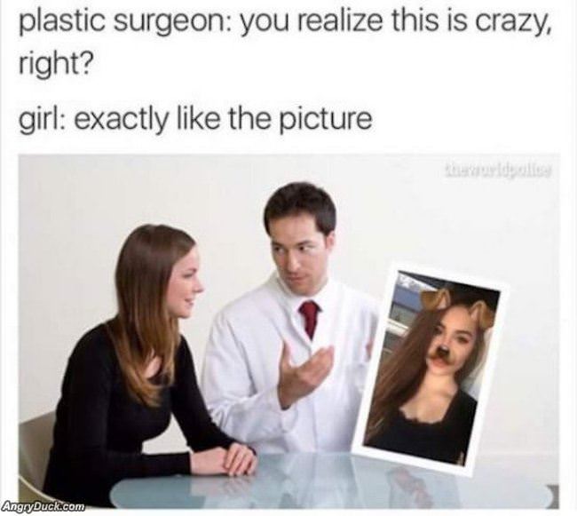 You Realize This Is Crazy Right