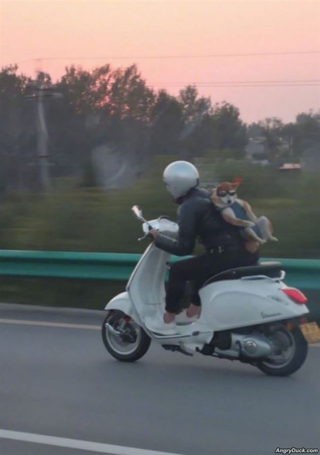 A Very Special Delivery