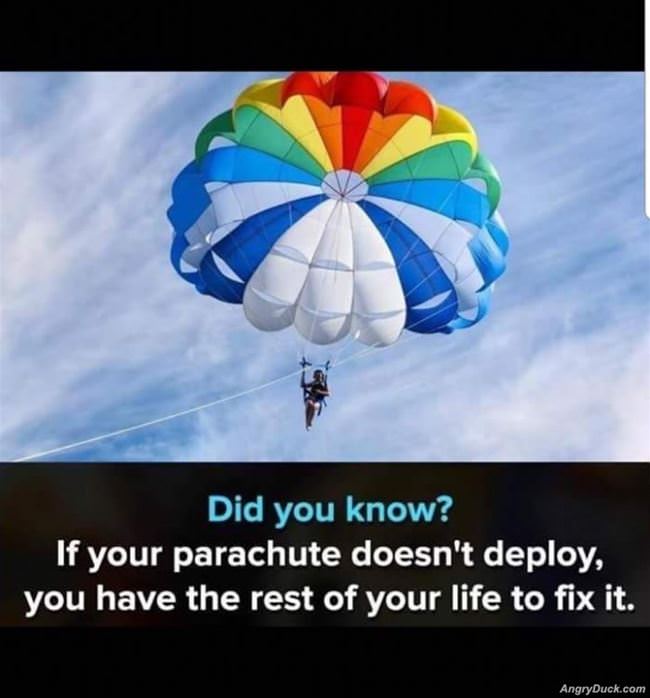 Did You Know